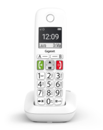 GIGASET WIRELESS LAND E290 DUO WHITE L36852-H2901-D202