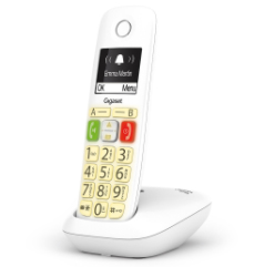 GIGASET WIRELESS LAND E290 DUO WHITE L36852-H2901-D202