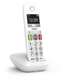GIGASET WIRELESS LAND E290 DUO WHITE L36852-H2901-D202