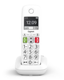 GIGASET WIRELESS LAND E290 DUO WHITE L36852-H2901-D202
